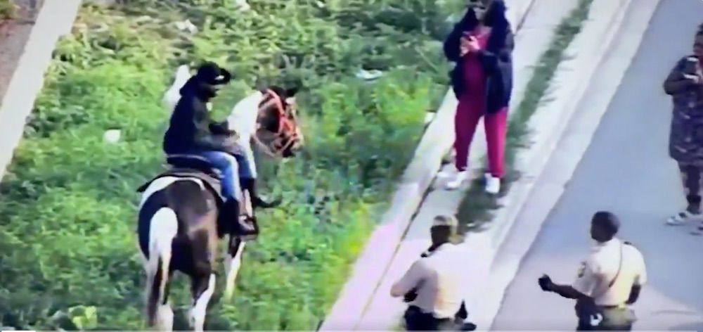 Chicago mayor's 'Census Cowboy' tortured his horse on a seven-mile highway 'protest run'—now it may be put down