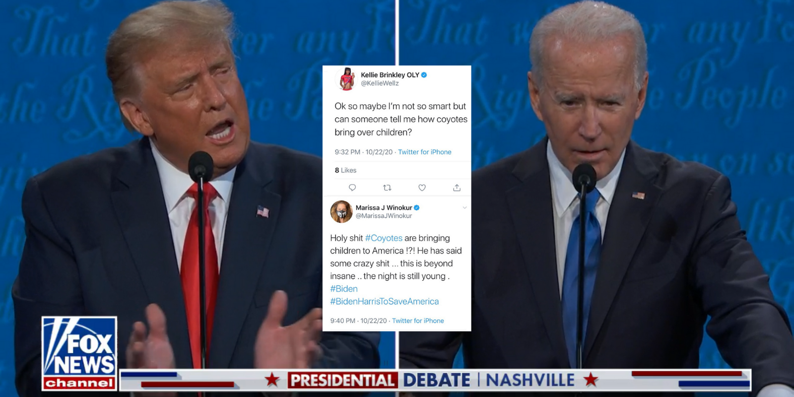 Biden supporters' ignorance on display as they react to Trump's 'coyote' comment