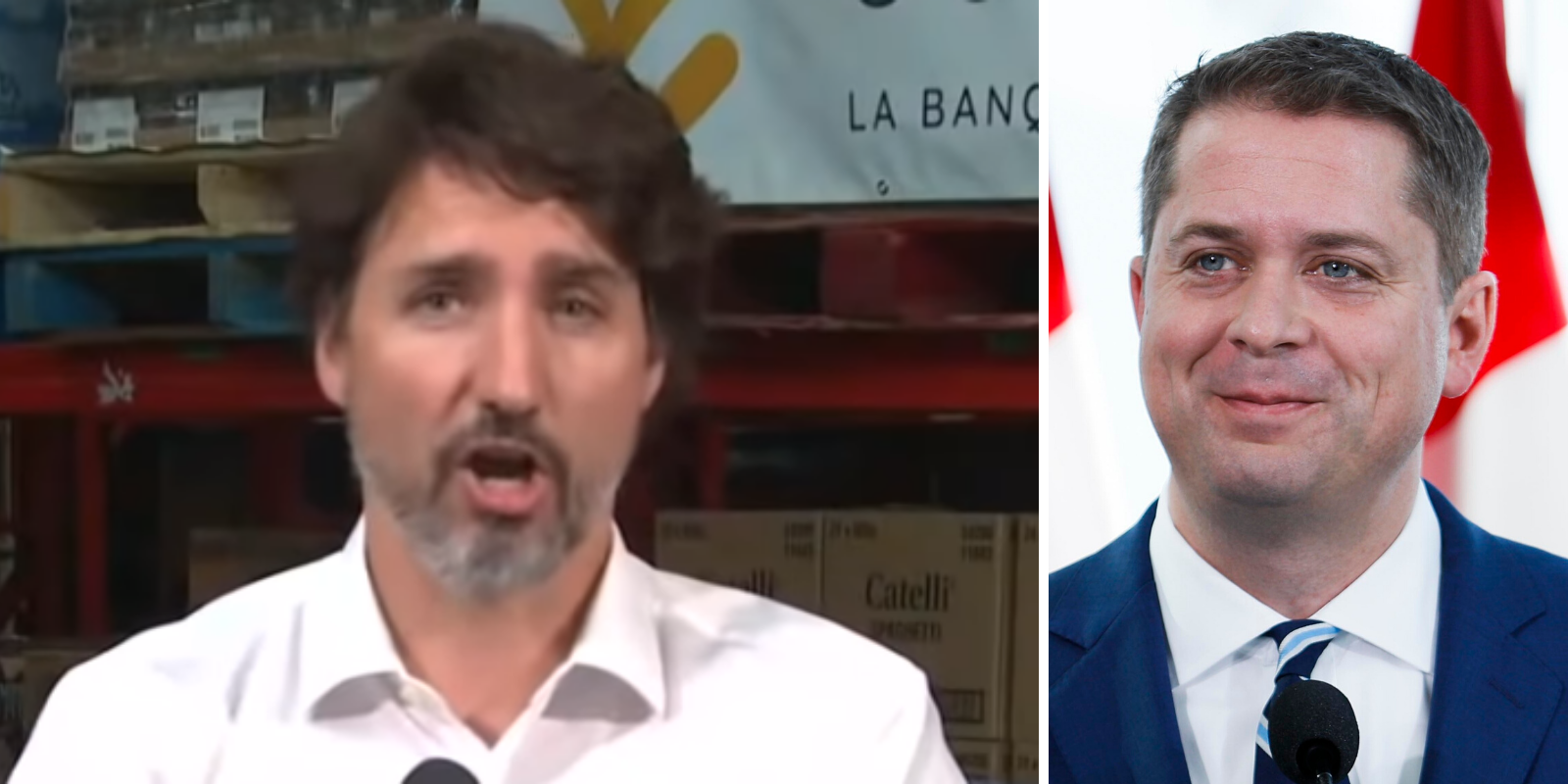 Trudeau's $600 MILLION media bailout advisors attacked Conservatives, praised Liberals