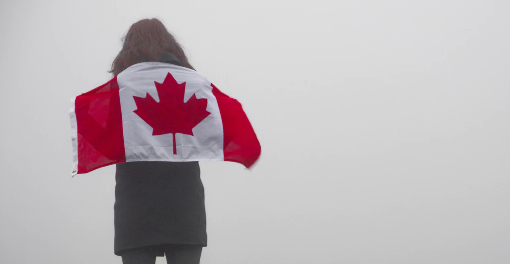 Trudeau government cancelled replacement of 60-year-old Snowbird planes in 2018