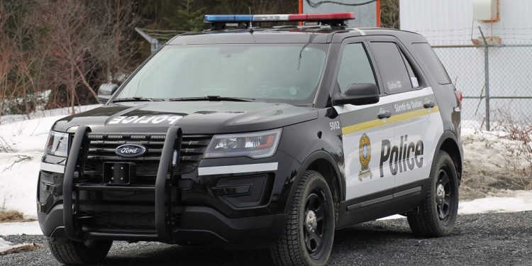 Quebec woman in critical condition after being attacked by two dogs