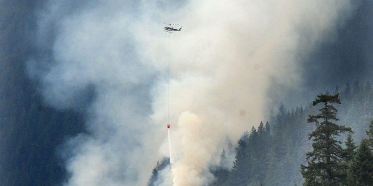 Three hectare forest fire ignites near Sea to Sky Highway, B.C.