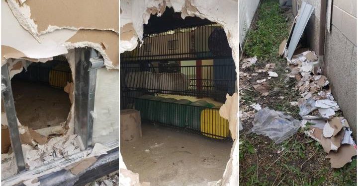 “Wurst” thief ever tears down wall of Winnipeg sausage shop