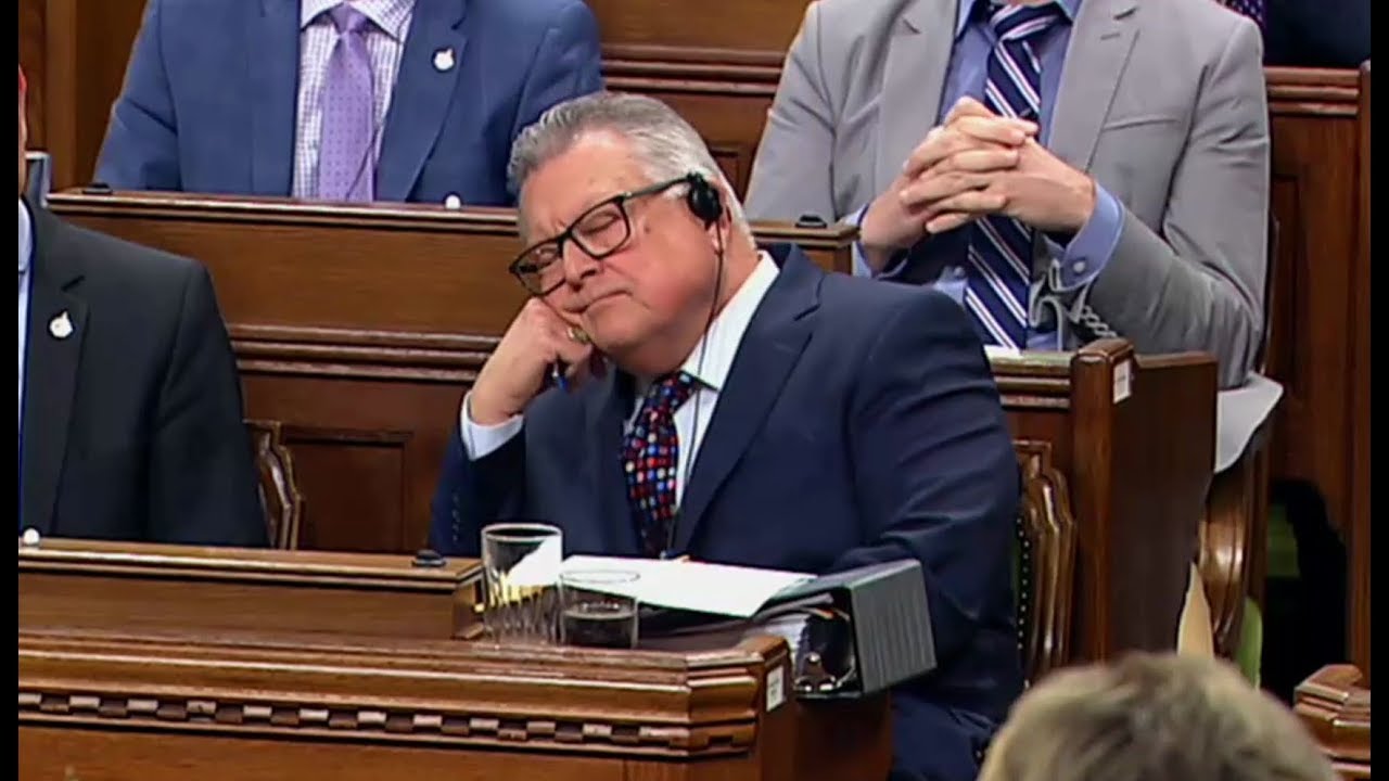 Conservative Party exposes Liberal hypocrisy on gay marriage after botched Scheer smear