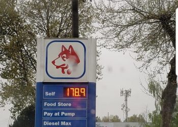 Four out of ten Canadians claim gas prices are making it harder to afford basics: Angus Reid