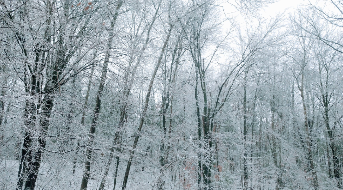 ICESTORM: Toronto, Southern Ontario pummeled with rain, snow, ice