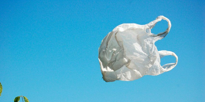 Nova Scotia bans single-use plastic bags