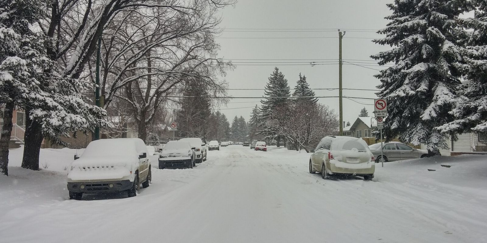 Southern Alberta pummeled by 20 cm of snow