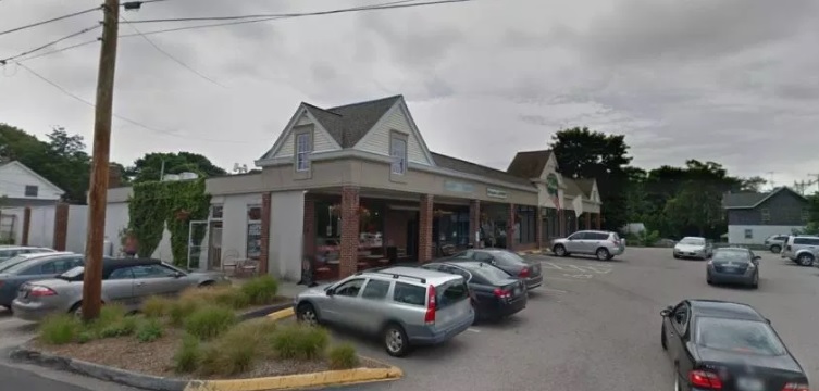 Three dogs dead after American owner leaves them in blistering hot car