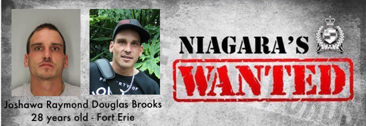 Niagara man missing after attempted murder of mother and child
