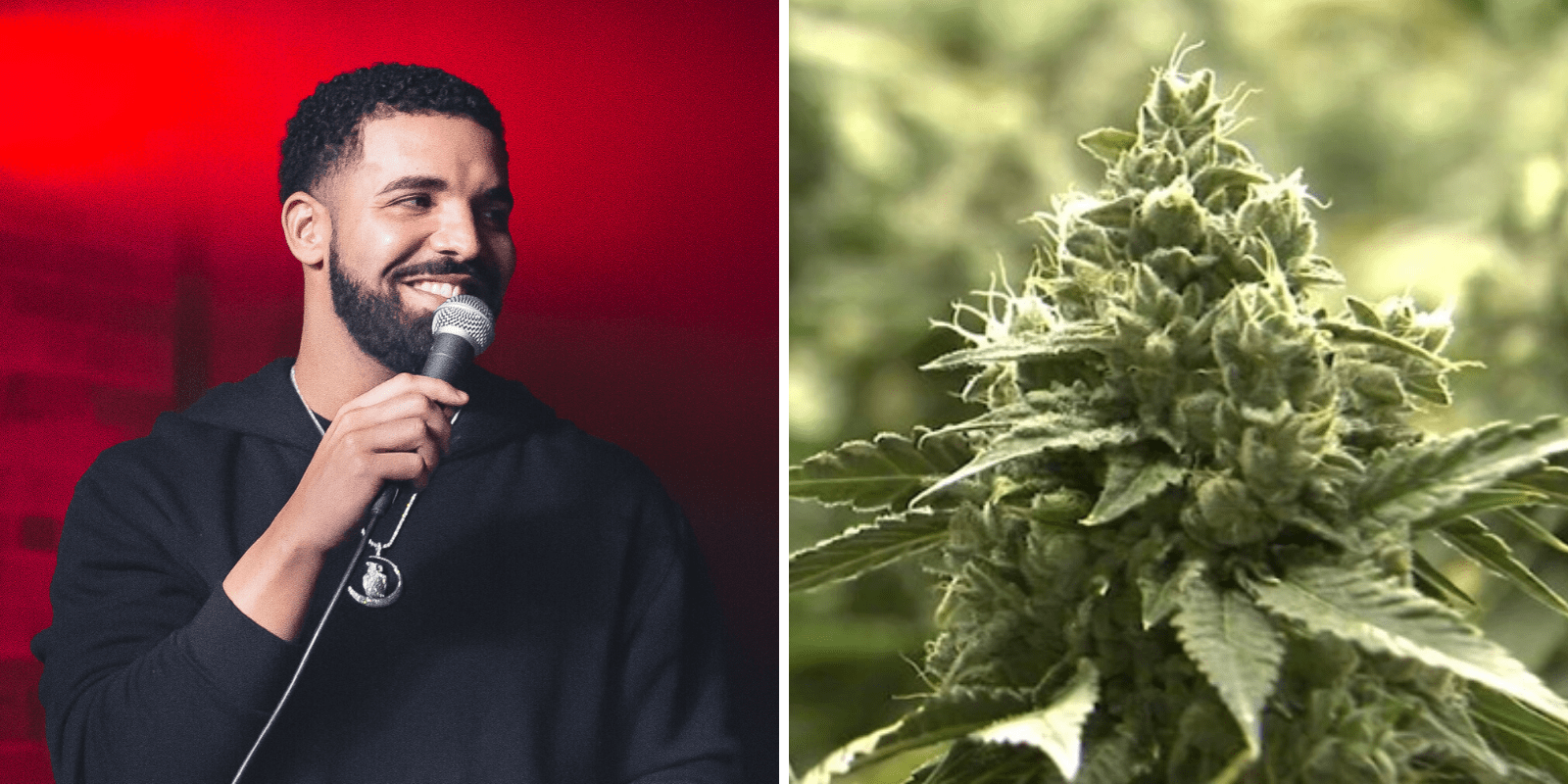 Canopy Growth and Drake team up on new cannabis venture