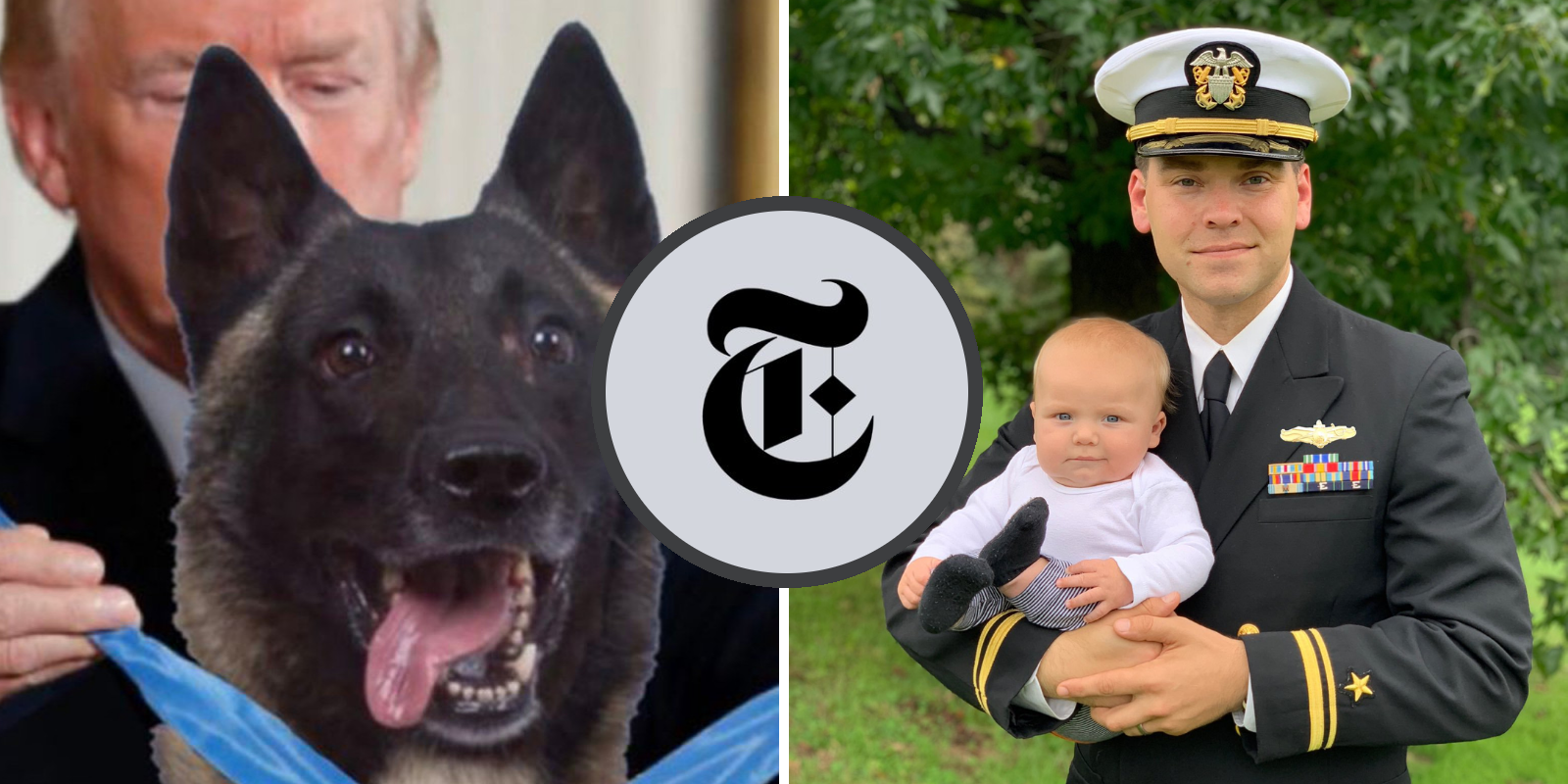 The New York Times hits new low, attacks hero dog and veteran within 24 hours