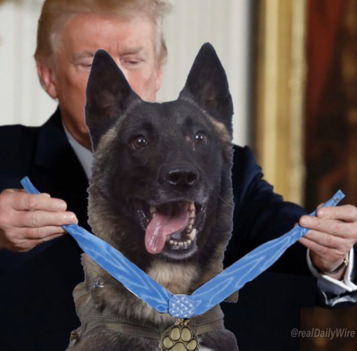 President Trump reveals name of dog involved in ISIS raid
