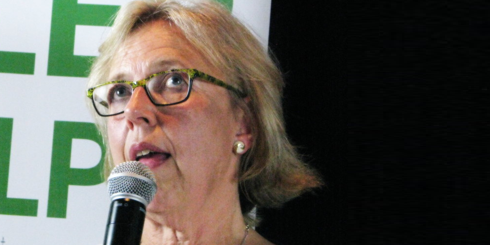 Mike Layton demands Elizabeth May stop using his dead father’s legacy to prop up the Green Party
