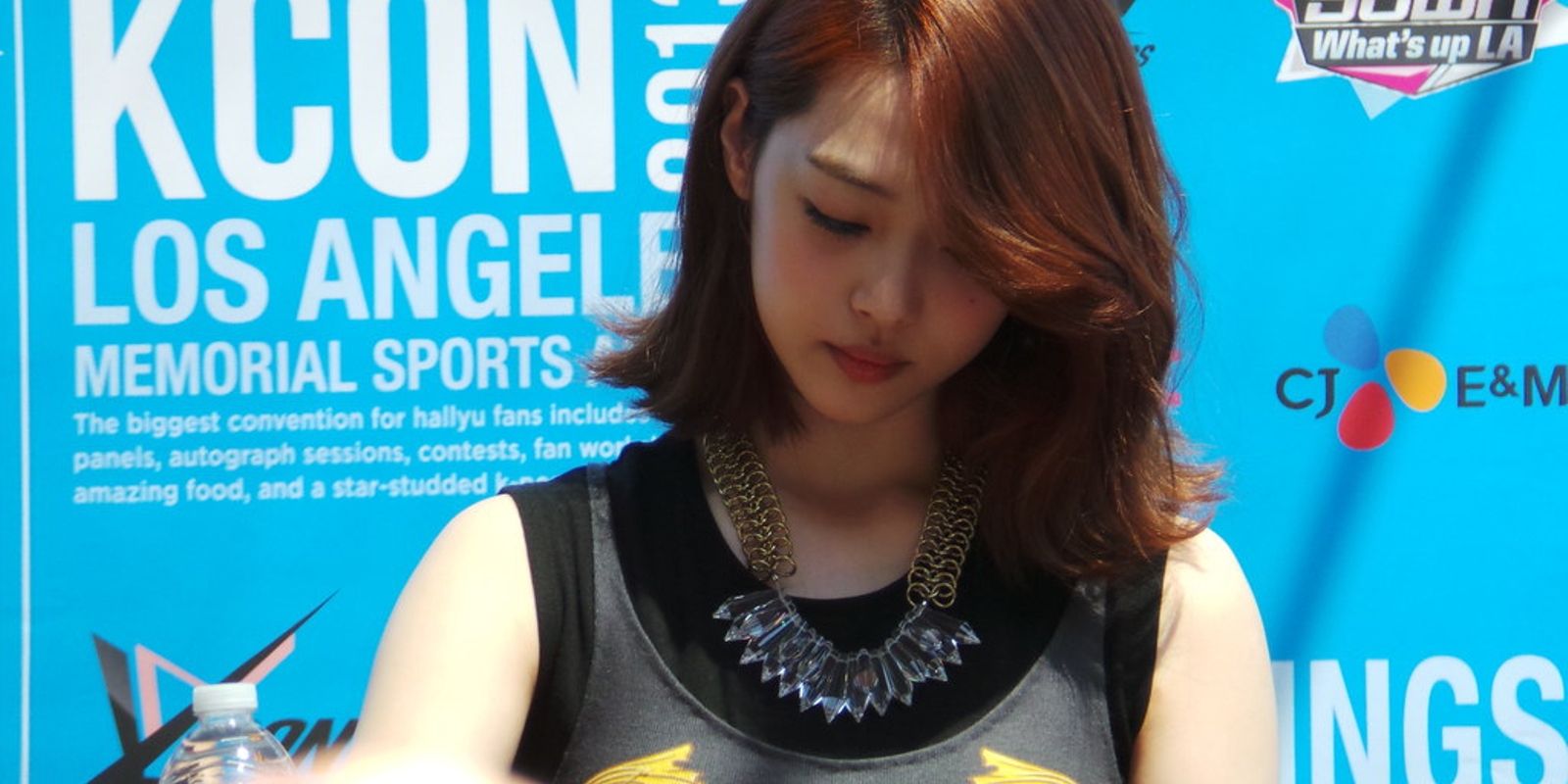 Famous K-pop idol Sulli dies of apparent suicide