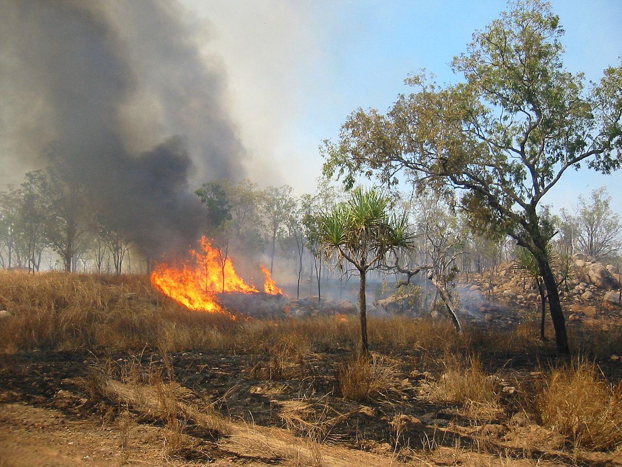 Canadian firefighters in Australia for Christmas holidays to fight wildfires