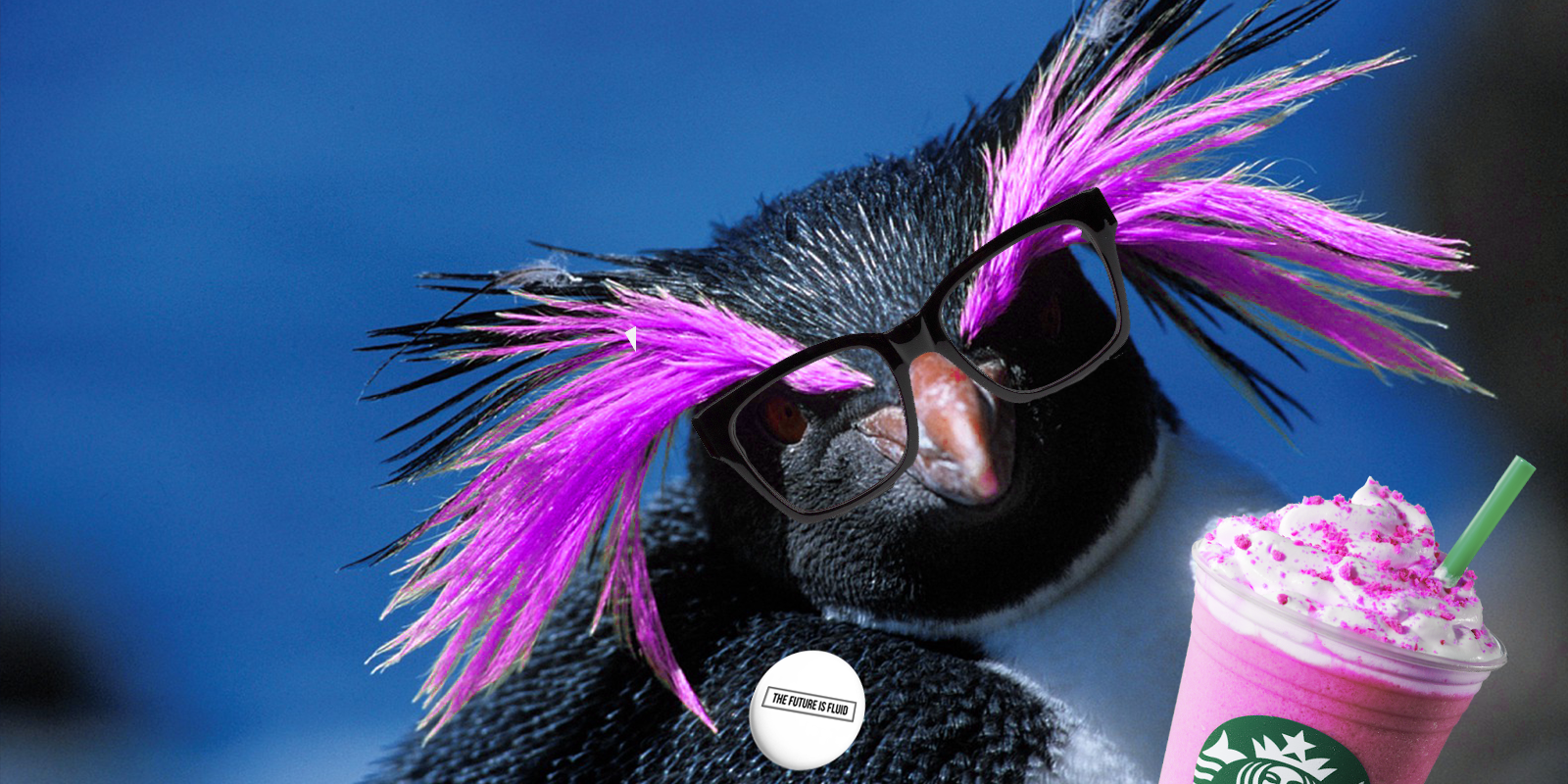 Gentoo is the gender-neutral penguin we deserve