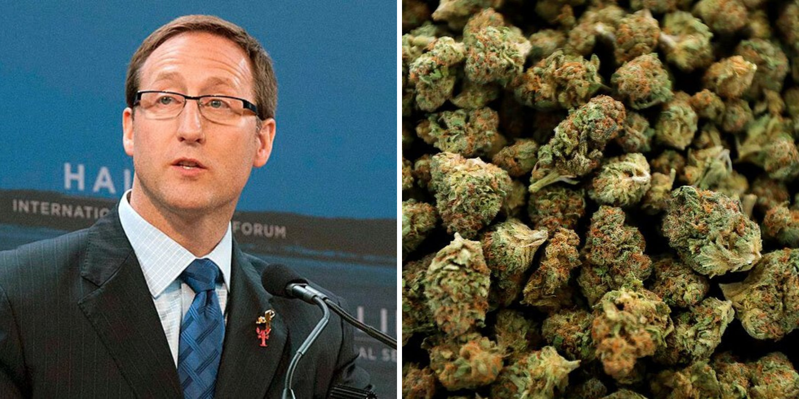 Peter MacKay flip-flops on marijuana stance, says he won’t rescind legalization