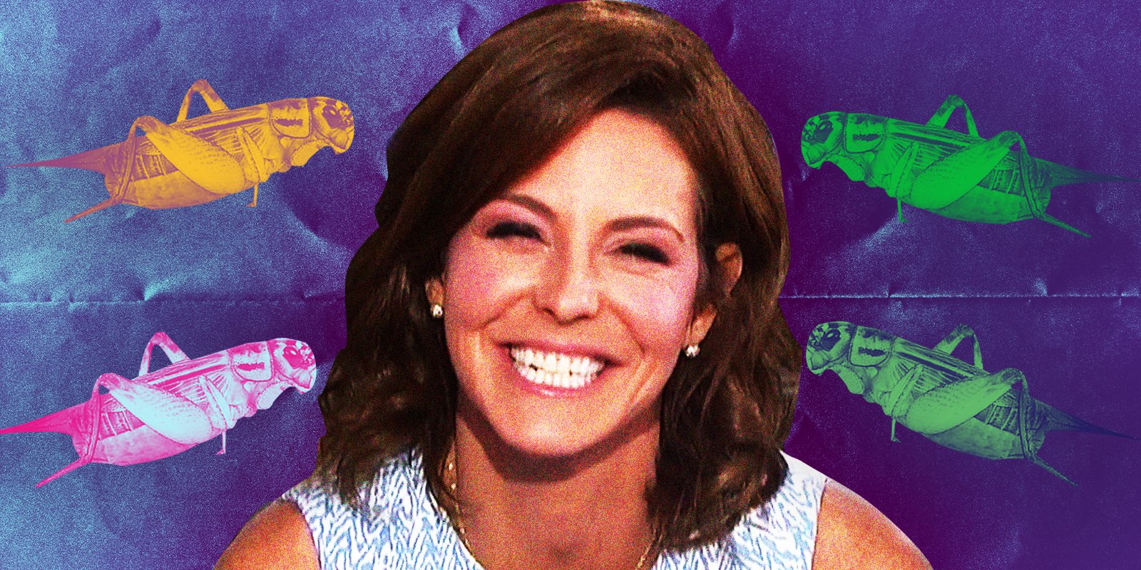 Cable news ‘journalists’ don’t understand memes