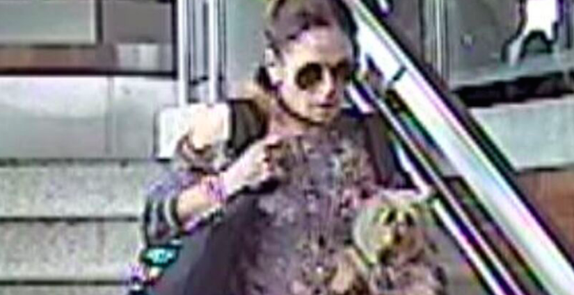 DOG THIEF: Police search for Toronto woman who stole dog on subway