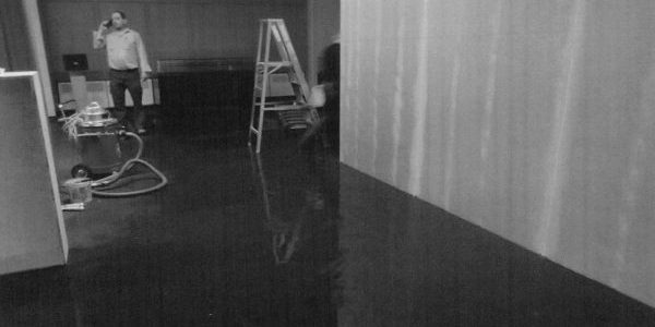 Canada’s national archives hit by ‘major flood’, despite denials from staff