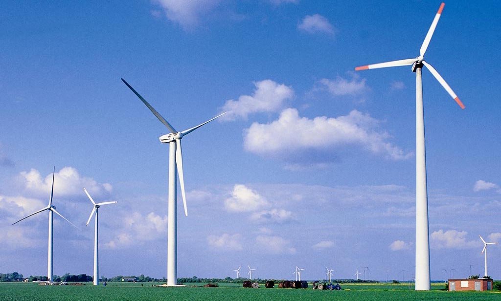 Ontario locals help stop nearly-completed wind farm from running due to danger to bats