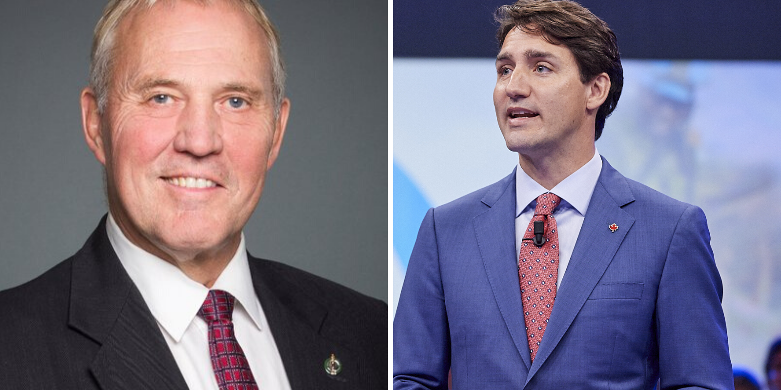 Trudeau government’s gun control strategy to be implemented soon