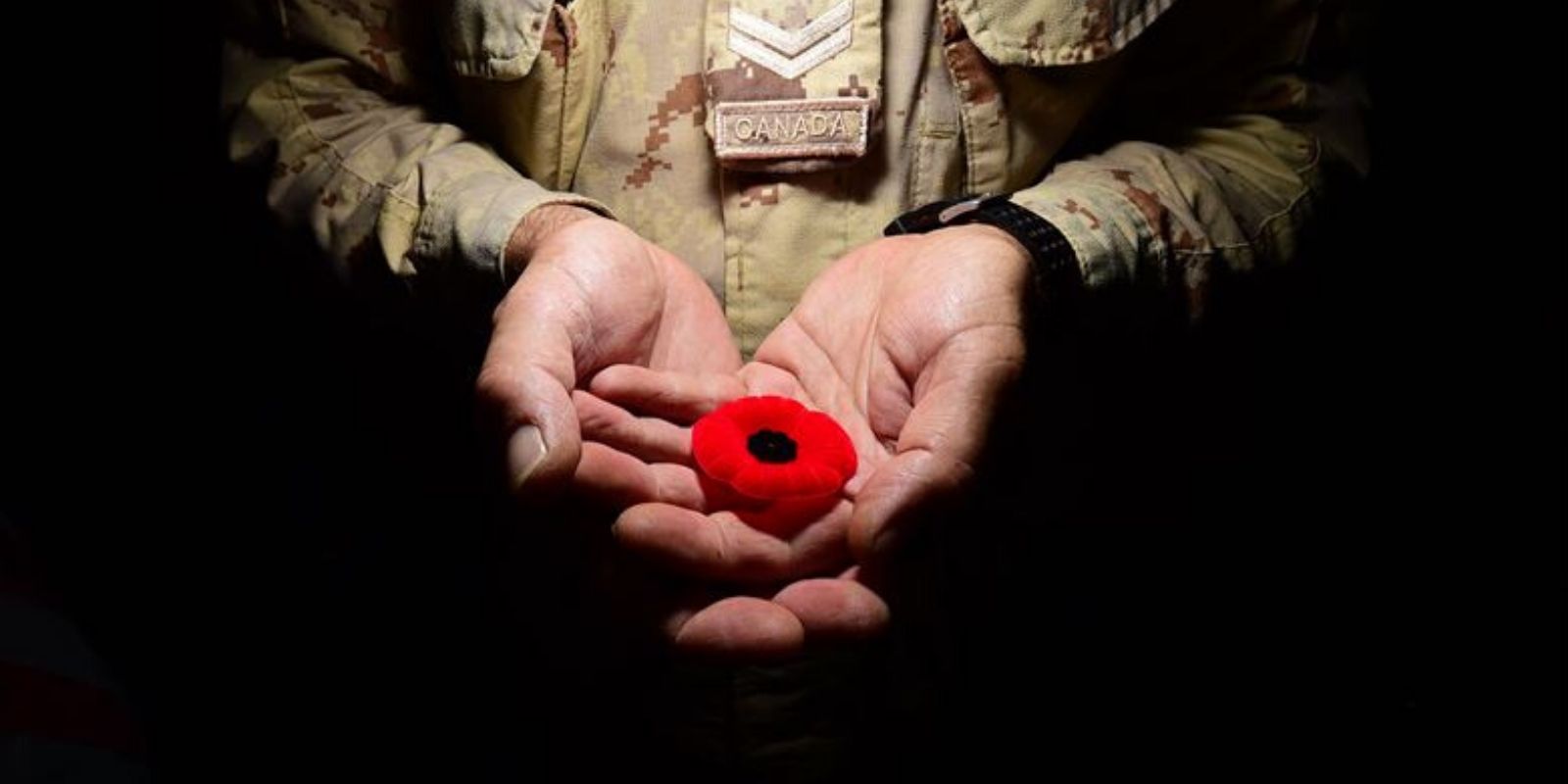 This Remembrance Day support a Veteran
