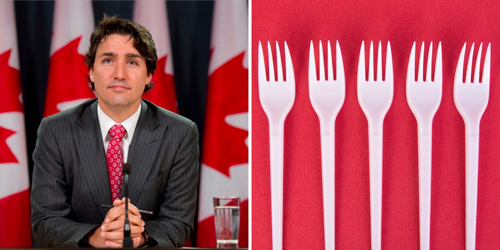 Trudeau Liberals urge Canadians to ditch plastic cutlery, bring own containers when eating out