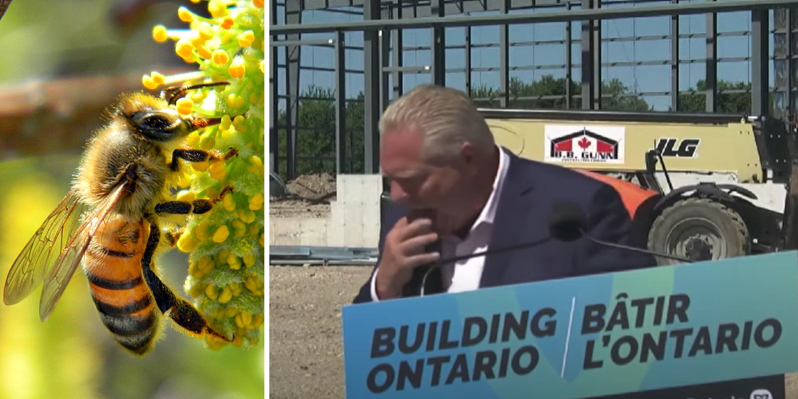 WATCH: Doug Ford 'swallowed a bee' during announcement