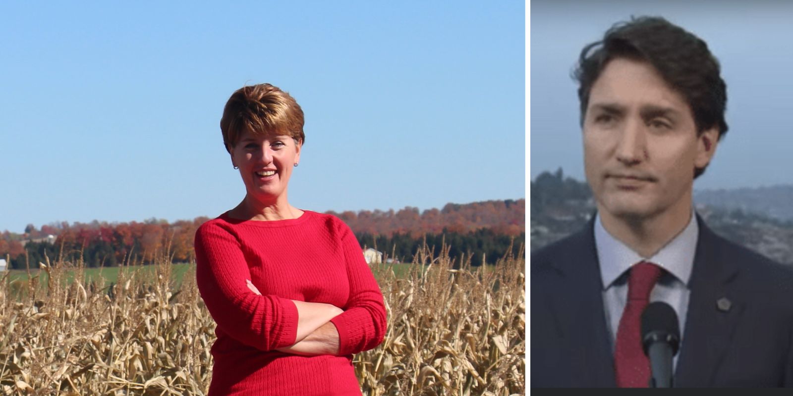 Trudeau Liberals say fears of fertilizer cutbacks are 'misinformation'