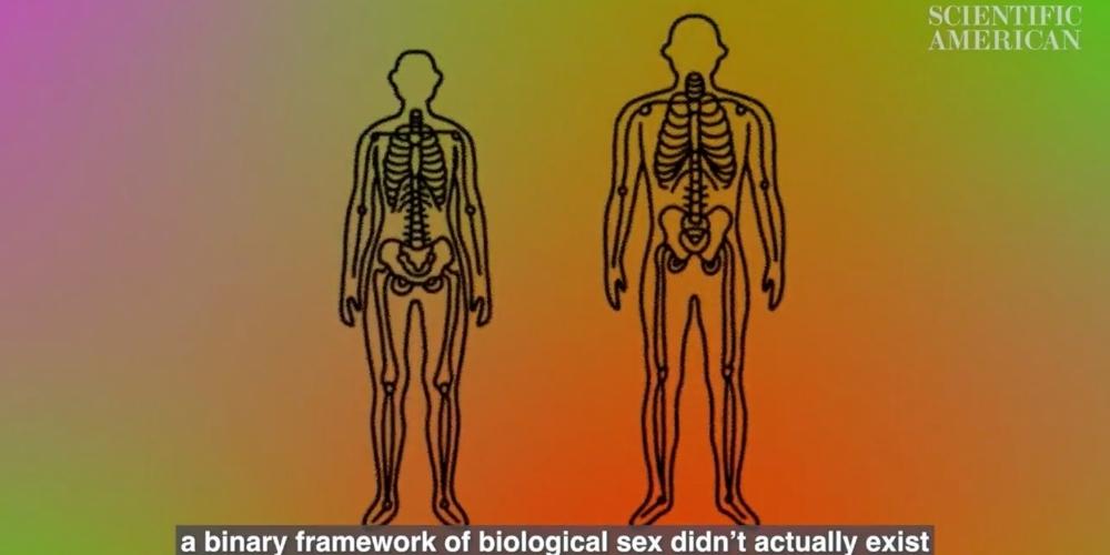 Scientific American declares biological sex is construct to 'reinforce gender and racial divisions'