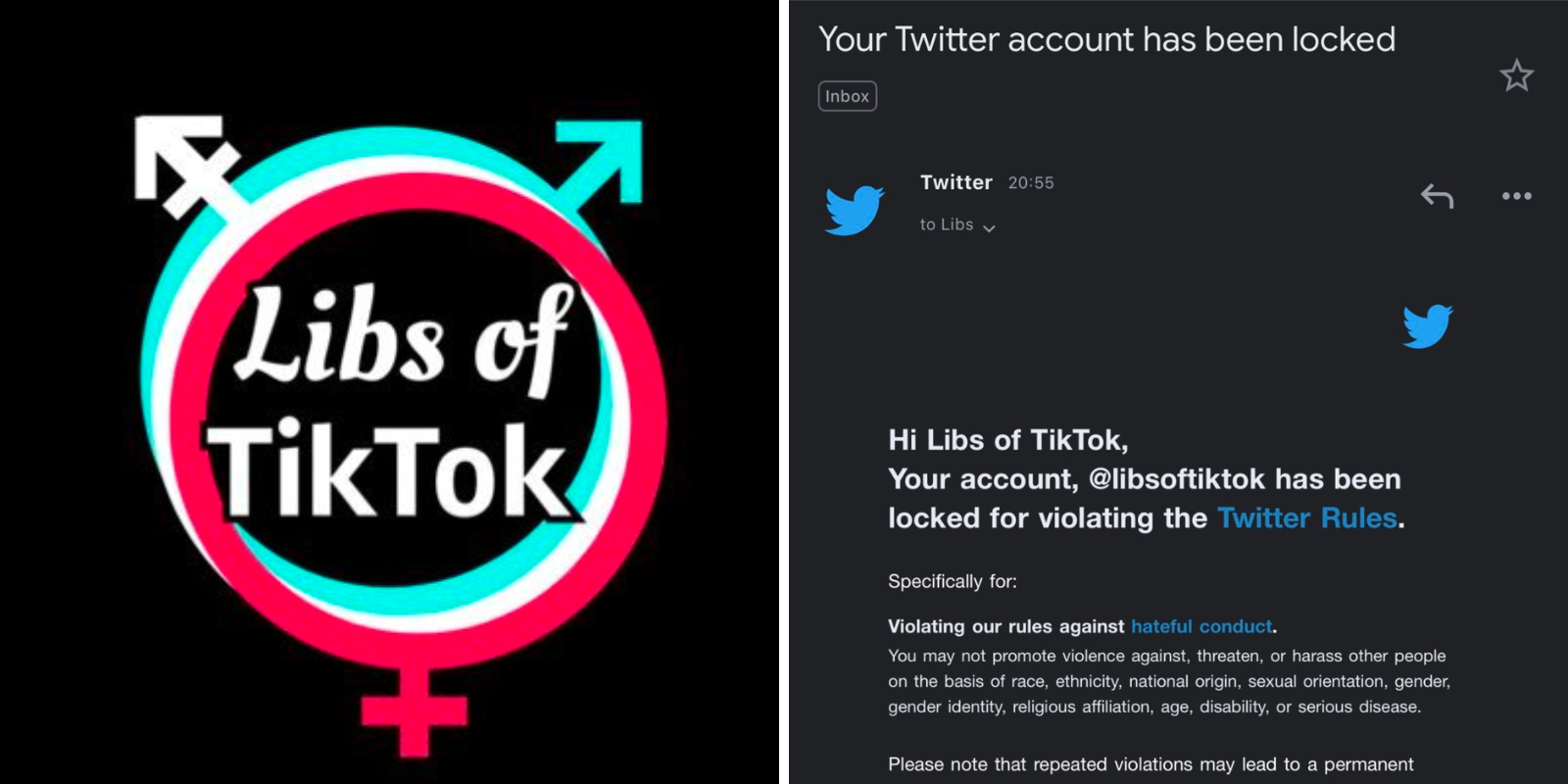 BREAKING: Libs of TikTok locked out of Twitter for violating rules against 'hateful conduct'