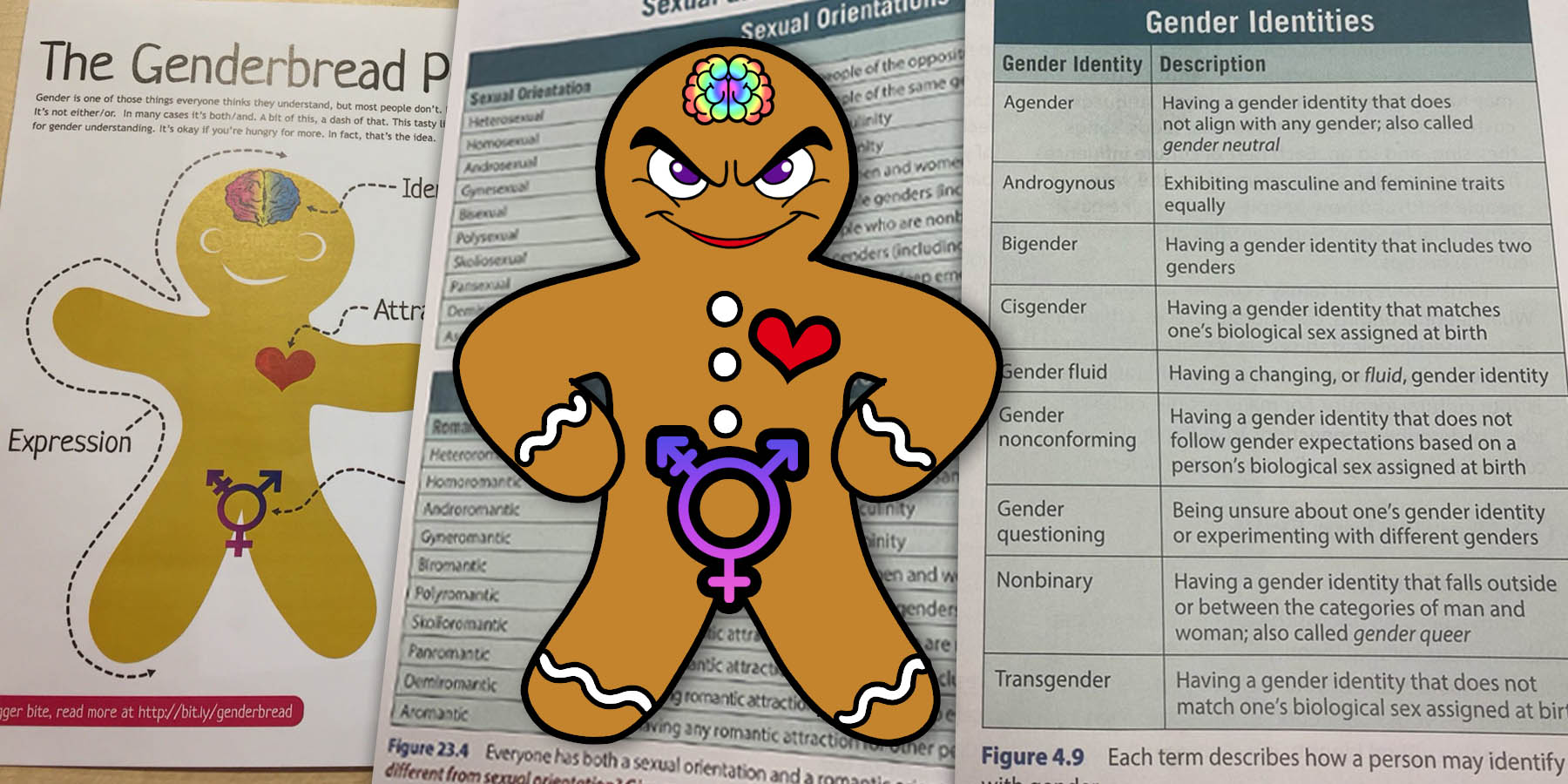 New California school district textbook teaches children there are 9 genders and 10 sexual orientations