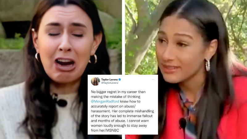 Taylor Lorenz harasses female journalist online after being memed for crying in interview about mean tweets