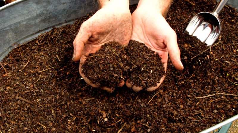 California legalizes human composting burials