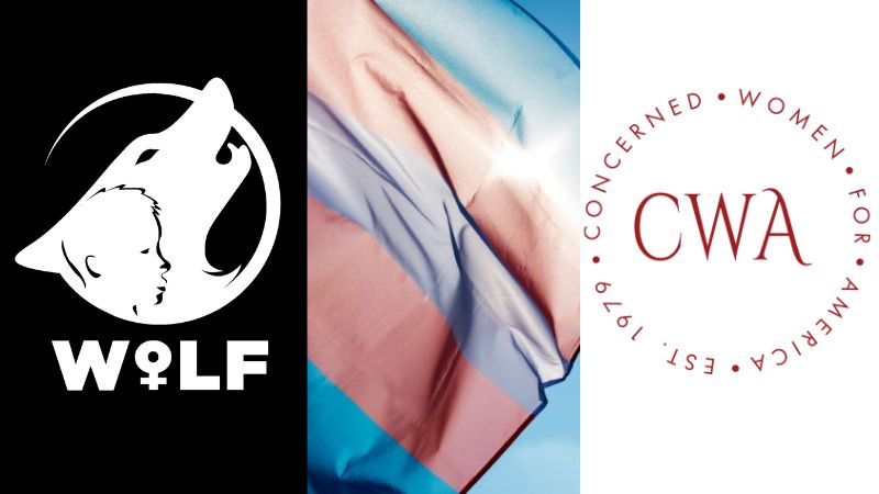 Bipartisan coalition of women's groups file motion to save women's sports in Indiana