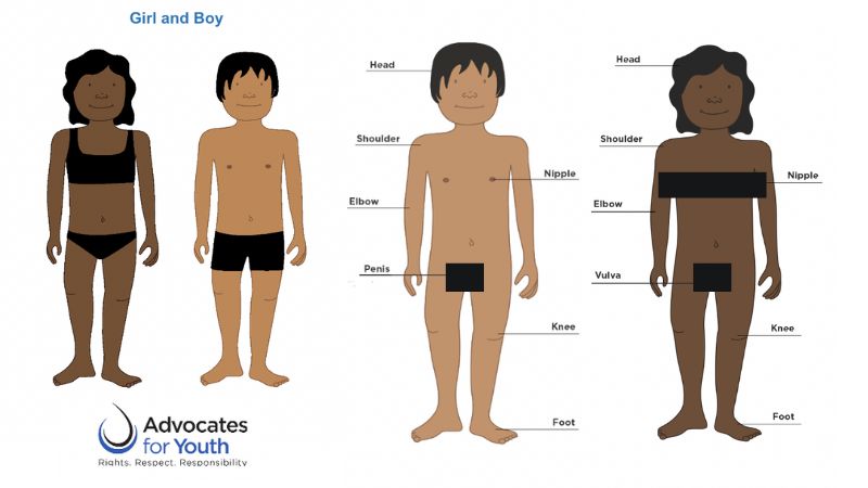 Trans activists behind new sex-ed curriculum for Wisconsin kindergarteners