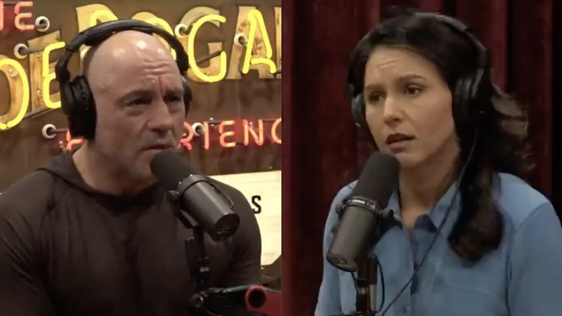 Tulsi Gabbard tells Joe Rogan Democratic Party is 'real threat to our democracy'