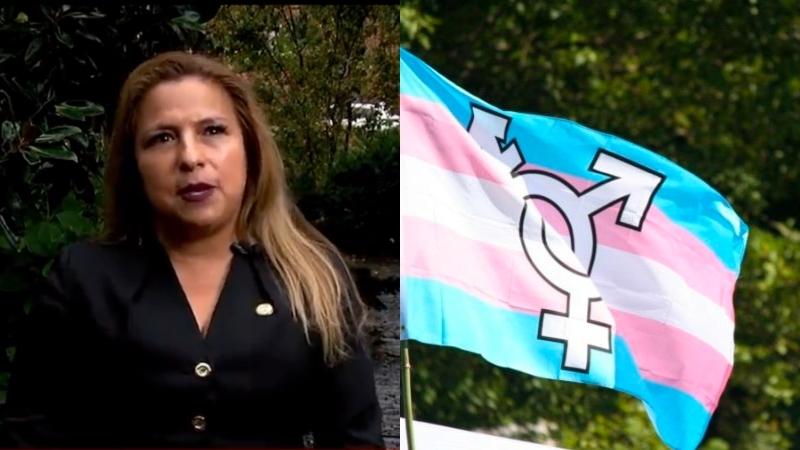 Virginia Democrat launches bill to prosecute parents who do not 'affirm' children's 'gender identity'
