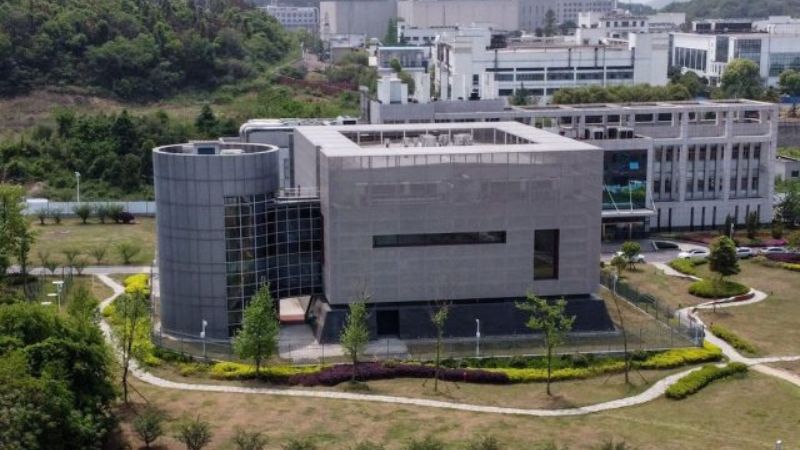 Covid-19 'most likely' came from 'research-related incident': US Senate report