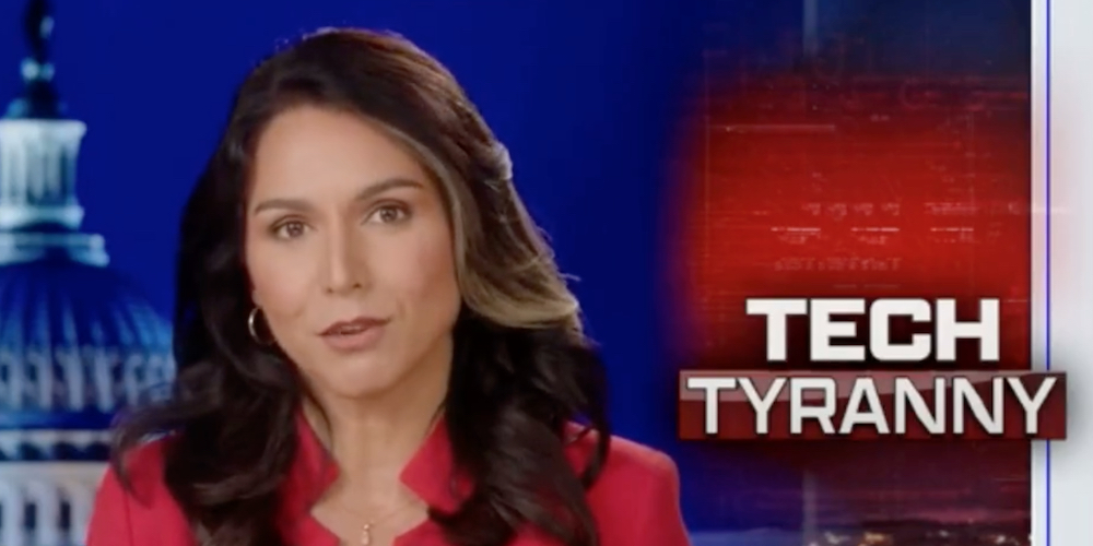 WATCH: Tulsi Gabbard warns democracy is dead so long as Dems, elites work 'hand in hand' with big tech