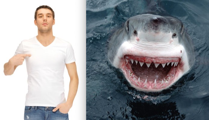 Shark Week slammed by scientists for being 'too white', featuring too many men named 'Mike'