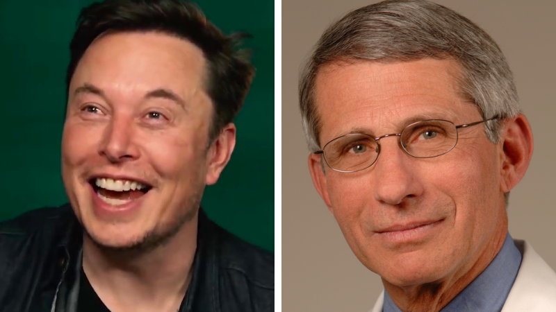 BREAKING: Elon Musk calls out Fauci — 'He lied to Congress and funded gain-of-function research that killed millions of people'