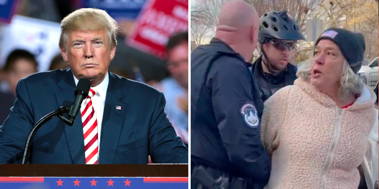 EXCLUSIVE: Donald Trump SLAMS arrest of Ashli Babbitt's mother