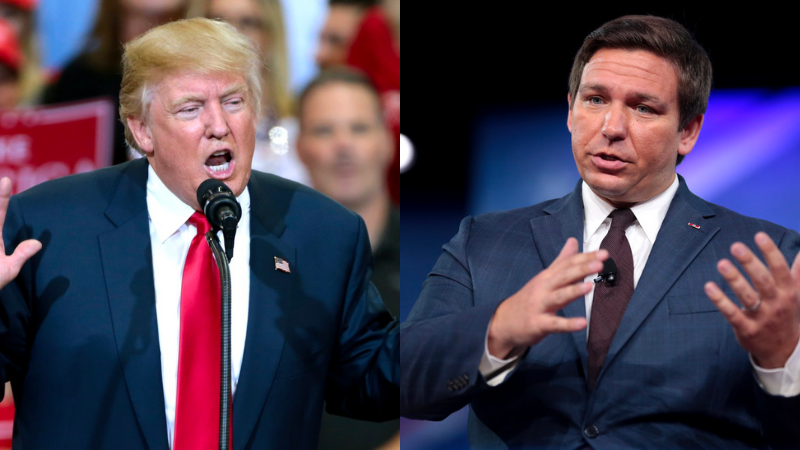 DeSantis team claims Trump supporters will switch allegiance when he enters the race