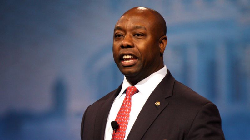 Dont Miss Out Tim Mayers Presidential Bid Is A Must See - ciq7nfb