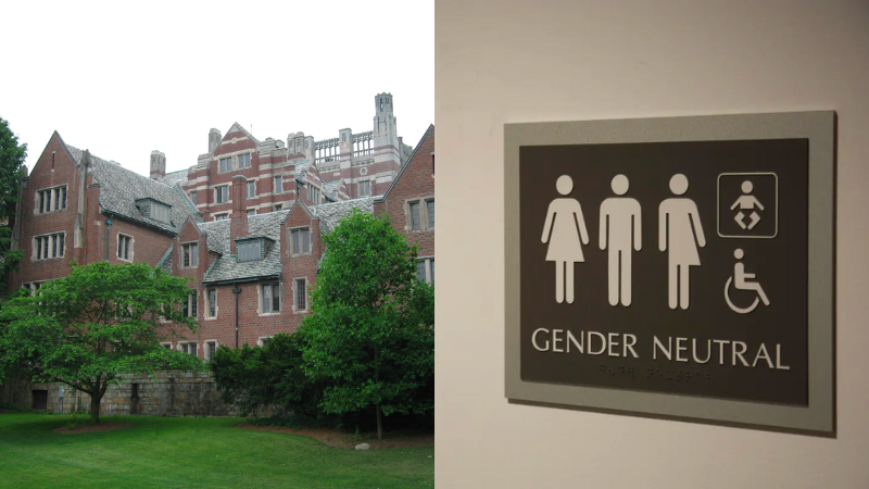 Wellesley women's college students vote to accept trans-identified and non-binary persons regardless of sex