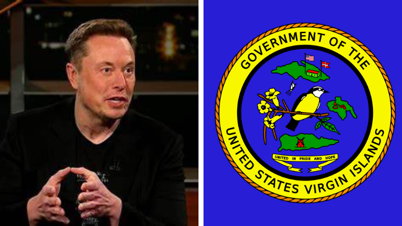 'IDIOTIC ON SO MANY LEVELS': Elon Musk responds to politically motivated subpoena in Epstein/JPMorgan case