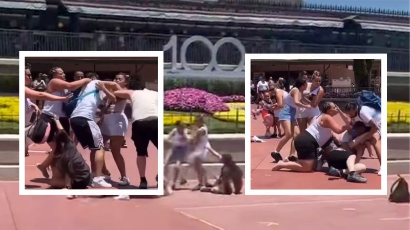 Families fight at Disney World over picture taking spot